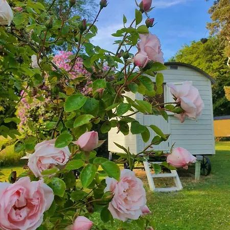 Blackstairs Shepherds Huts