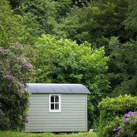 Blackstairs Shepherds Huts אתר קמפינג