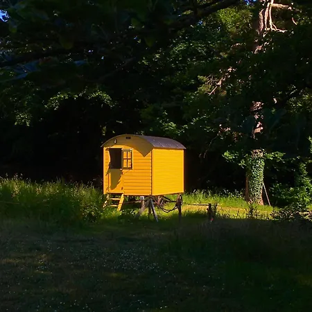 Blackstairs Shepherds Huts Camping