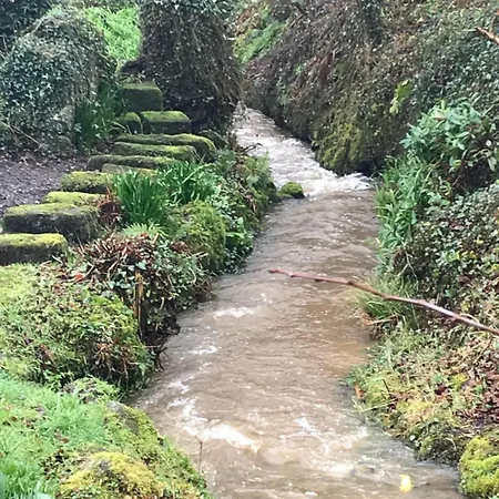 אתר קמפינג Blackstairs Shepherds Huts *