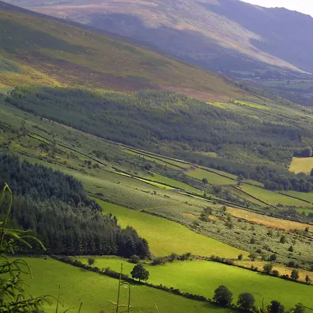 Blackstairs Shepherds Huts * Killedmond