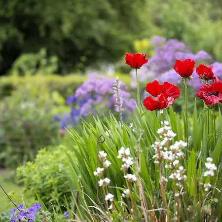 Blackstairs Shepherds Huts 营地