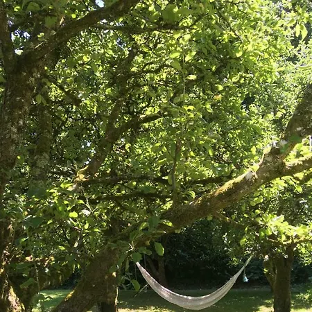 Blackstairs Shepherds Huts 营地 Killedmond