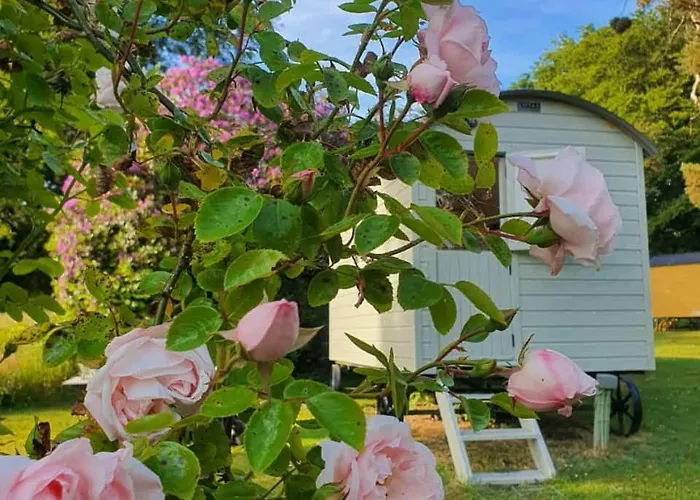Blackstairs Shepherds Huts
