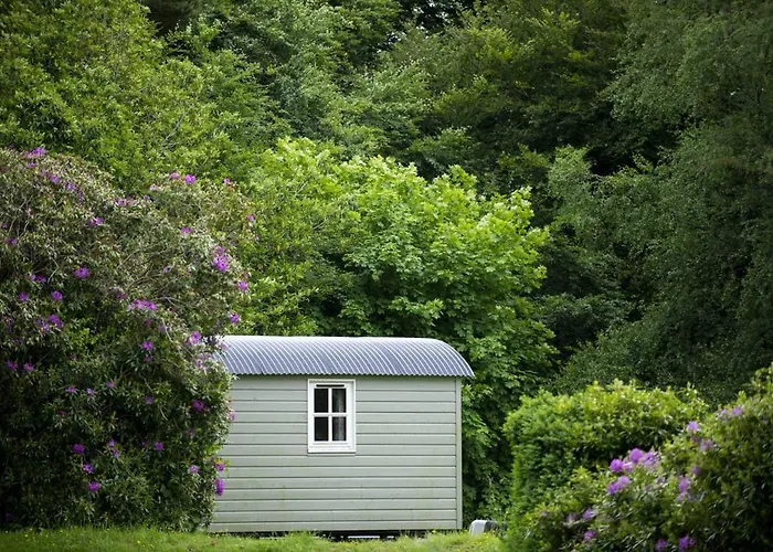 Blackstairs Shepherds Huts Кемпинг