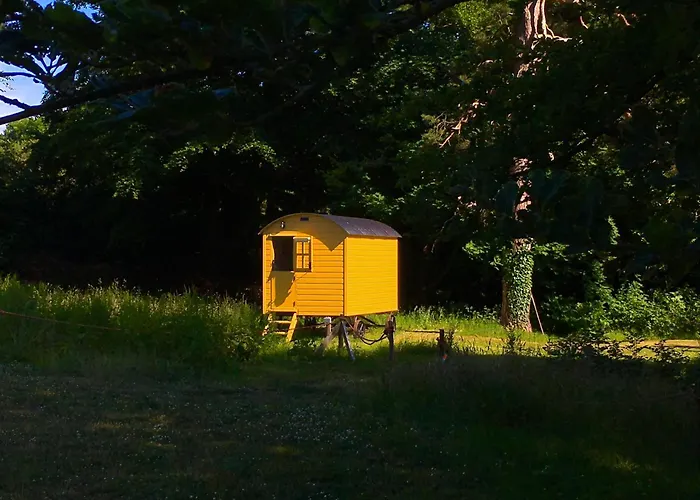 Blackstairs Shepherds Huts Кемпинг