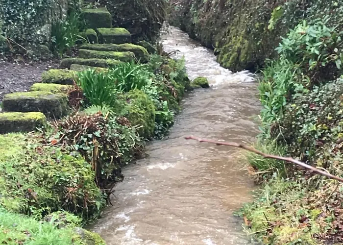 Kemping Blackstairs Shepherds Huts *