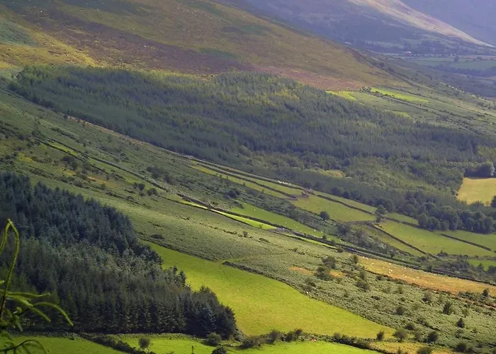 Blackstairs Shepherds Huts * Killedmond