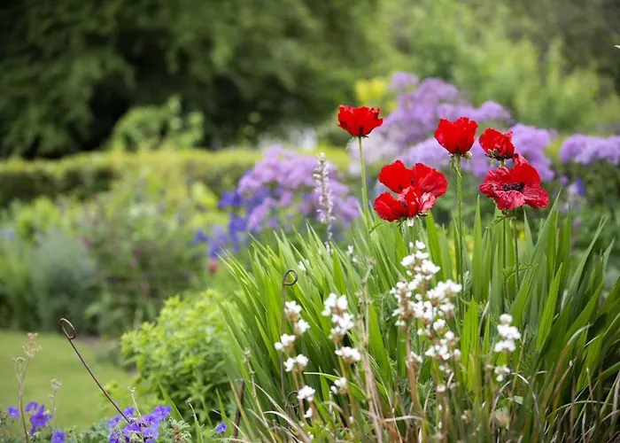 Blackstairs Shepherds Huts Kemping