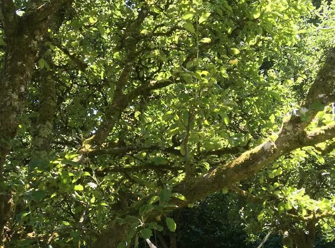 Blackstairs Shepherds Huts Camping Killedmond